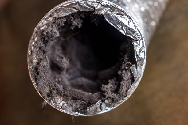 Best Residential Air Duct Cleaning  in Tipton, CA